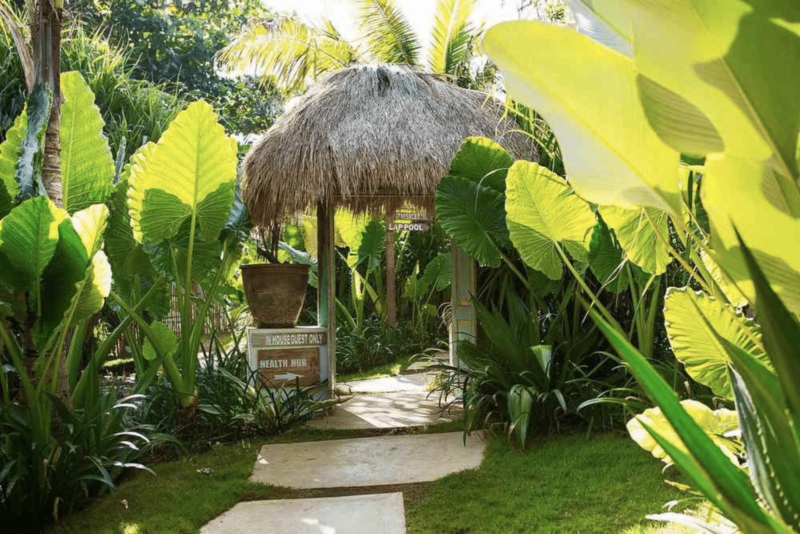 Sunlight streams through greenery in a tranquil garden pathway at Hotel Komune.